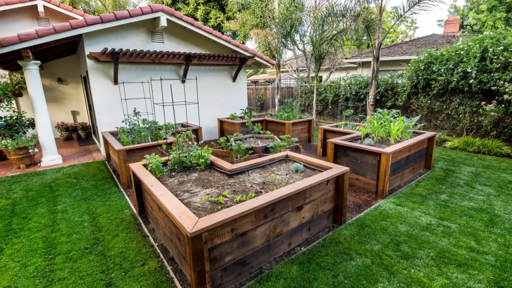 Garden Tips for a Lush and Thriving Outdoor Space